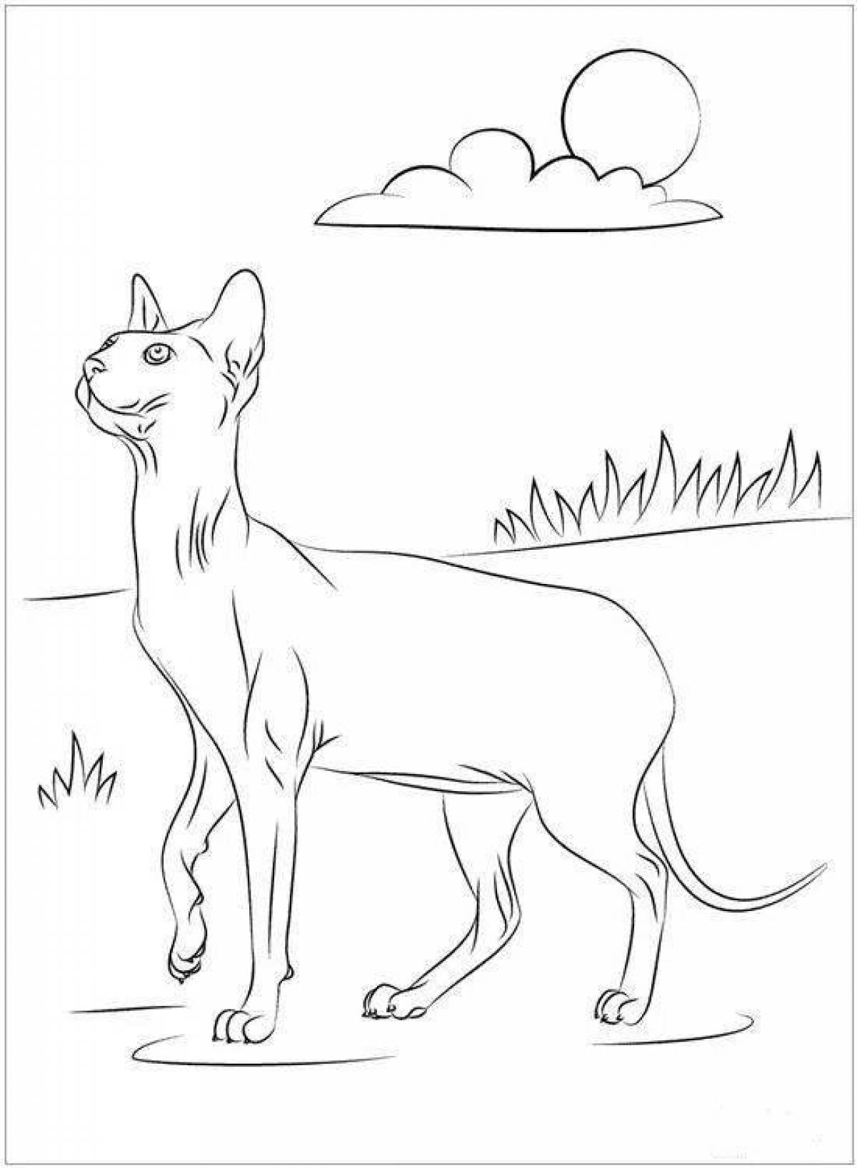 Coloring page brave sphinx cat