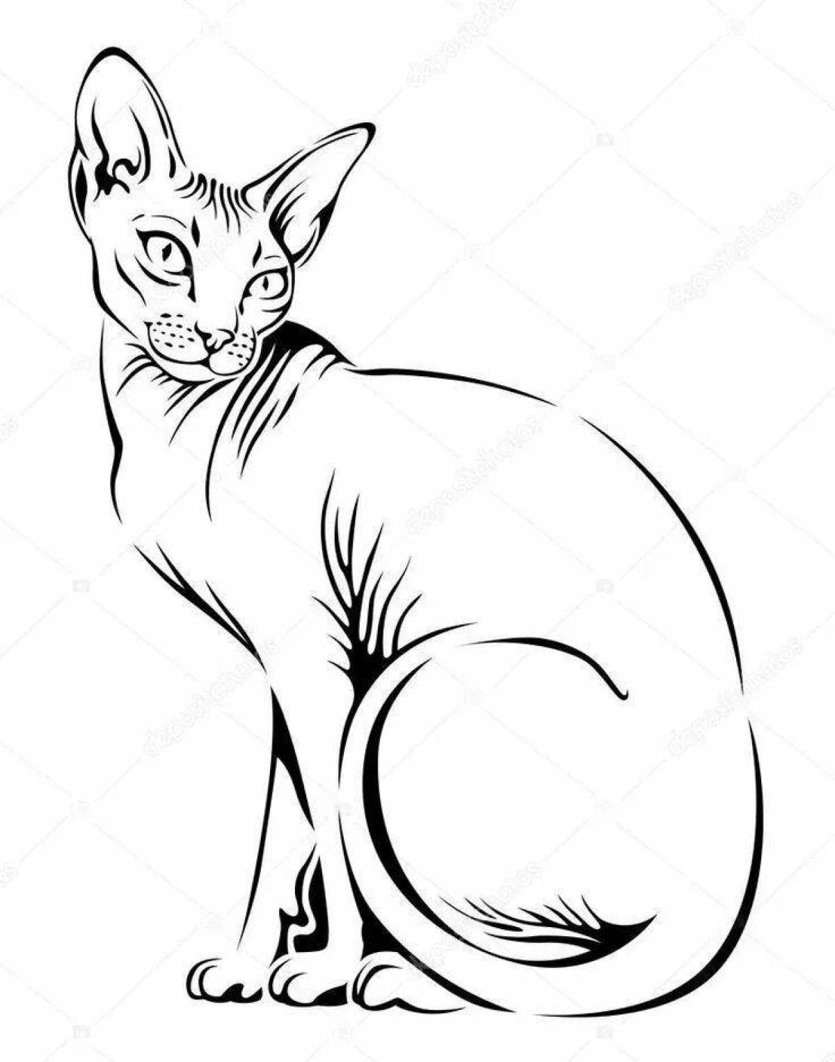 Coloring page elegant sphinx cat