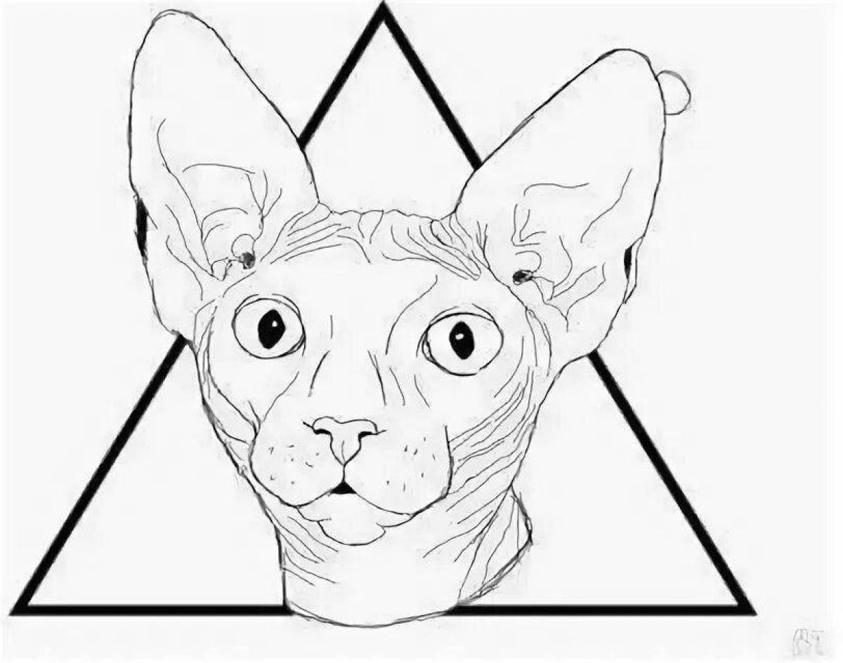 Раскраска озорной кот сфинкс
