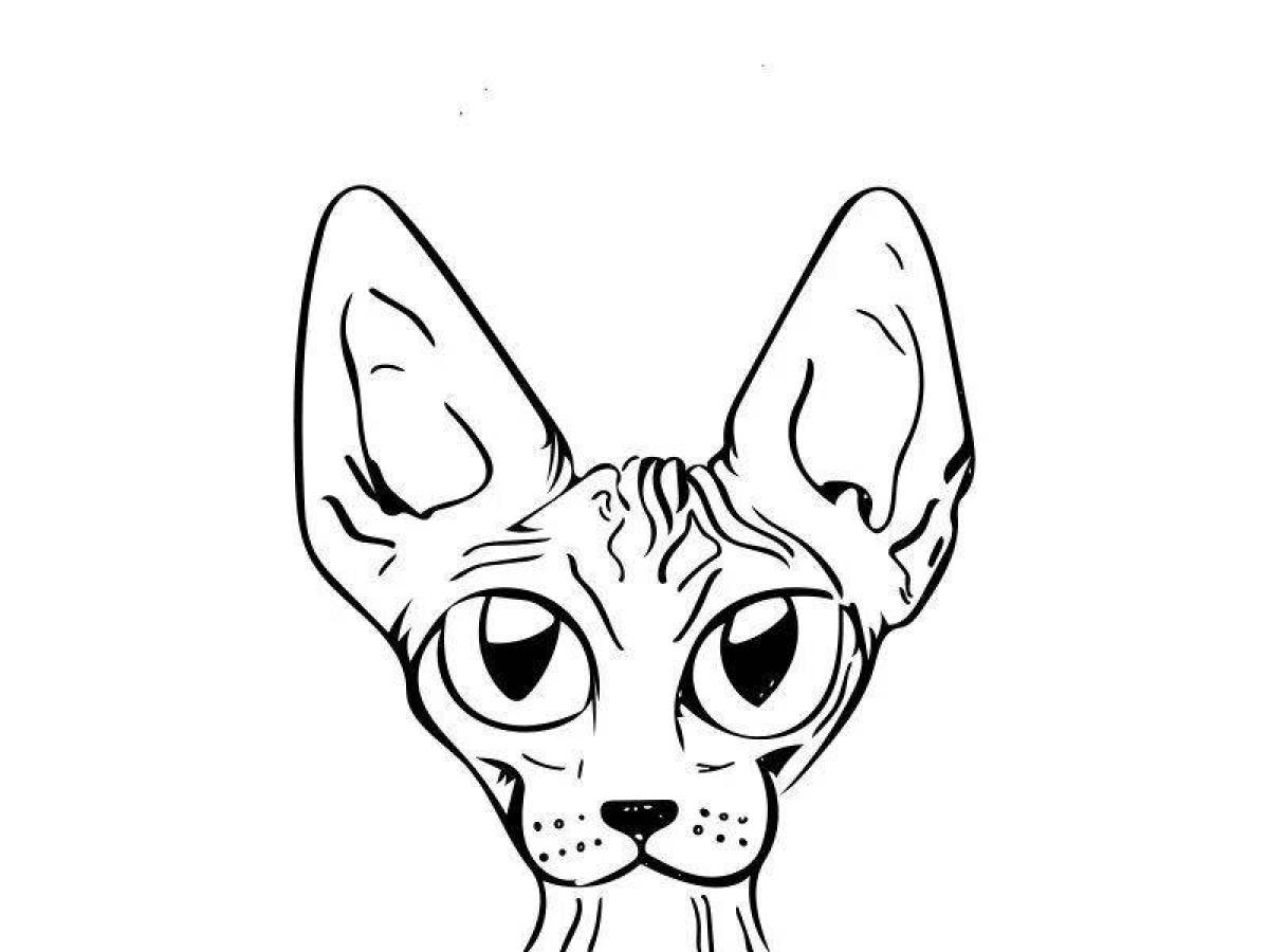 Funny sphinx cat coloring book