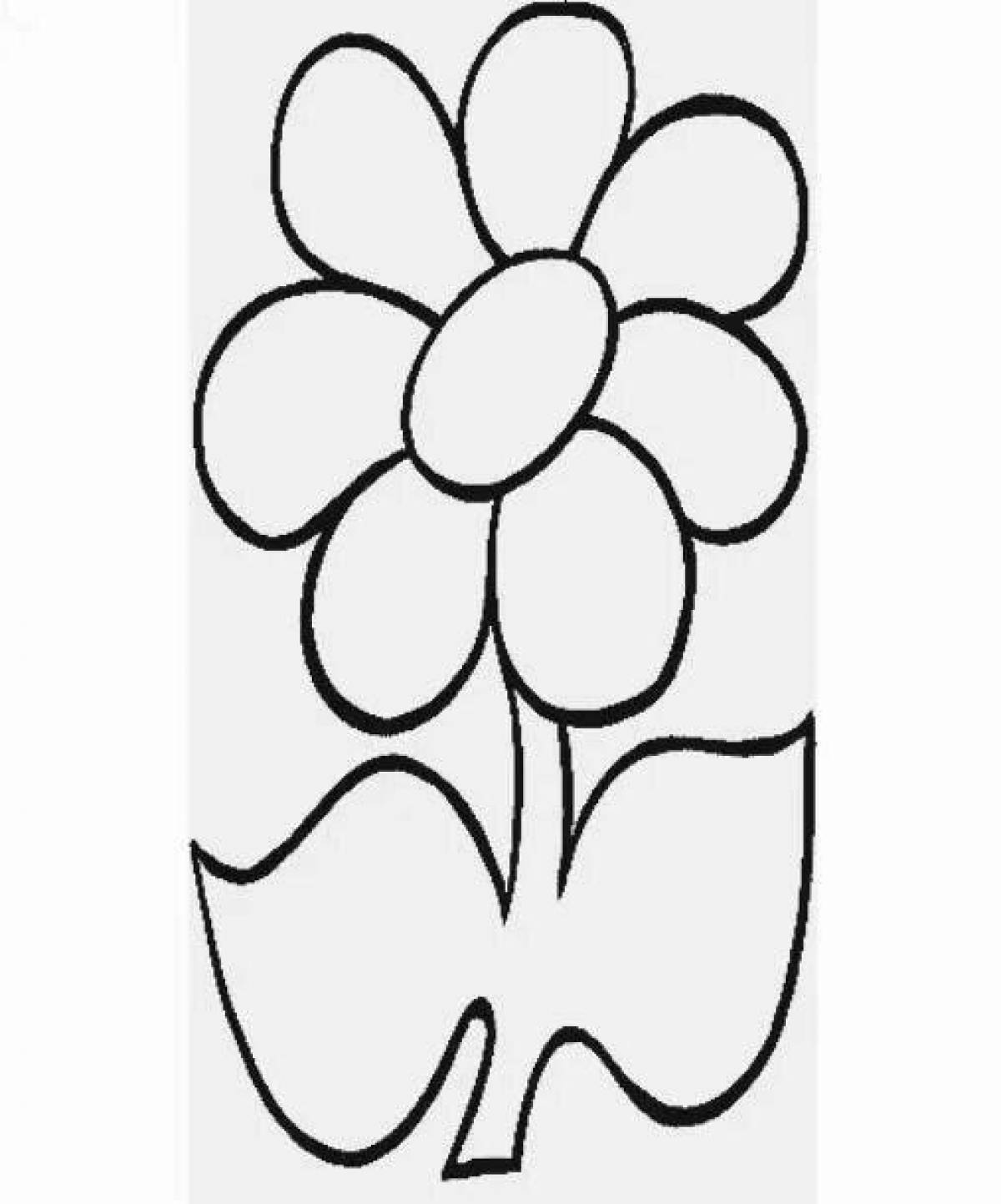 Gorgeous coloring flower template with seven colors