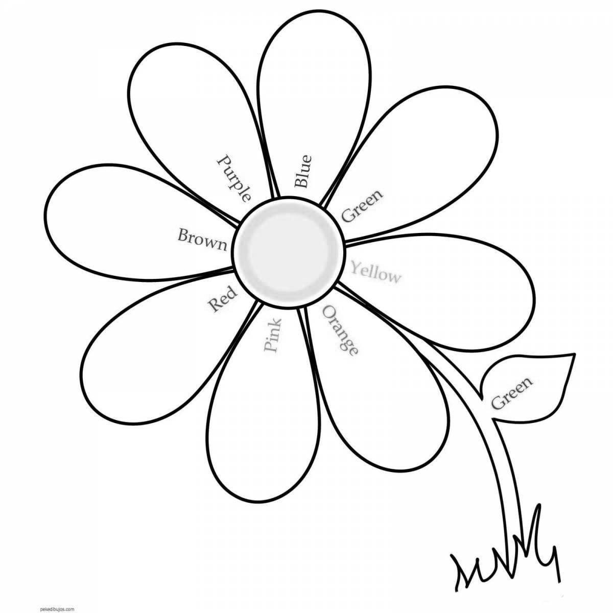 Incredible coloring flower template with seven colors