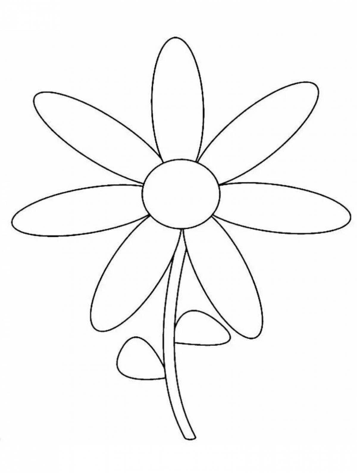 Exquisite coloring page flower page with seven color pattern
