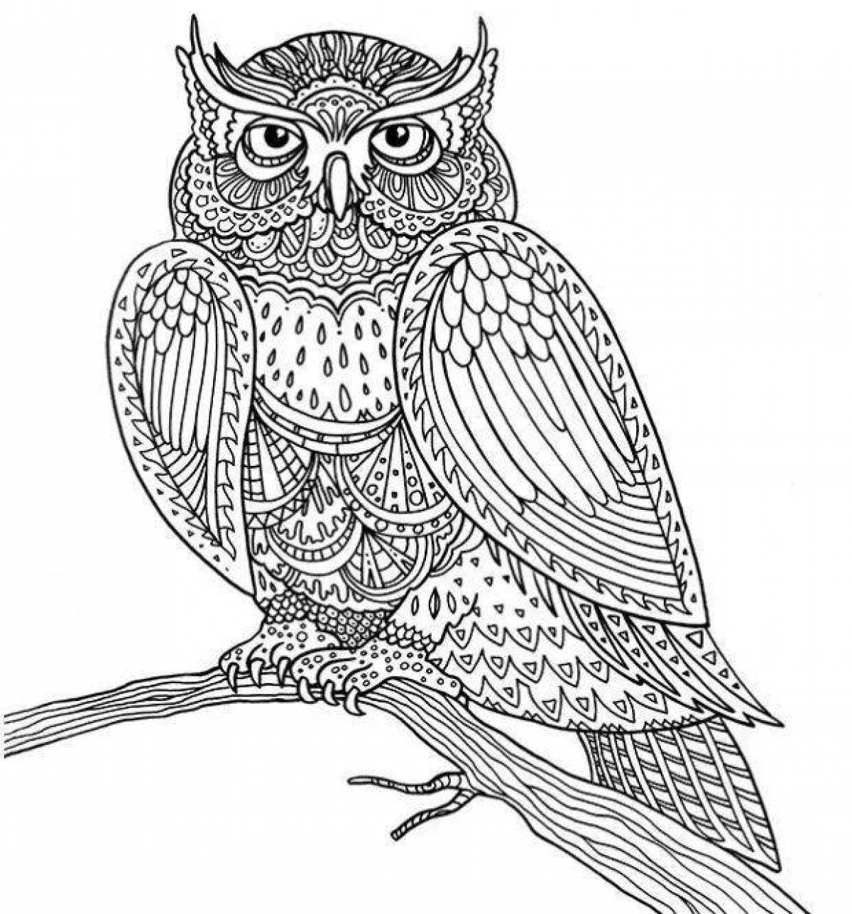 Adorable owl coloring pages