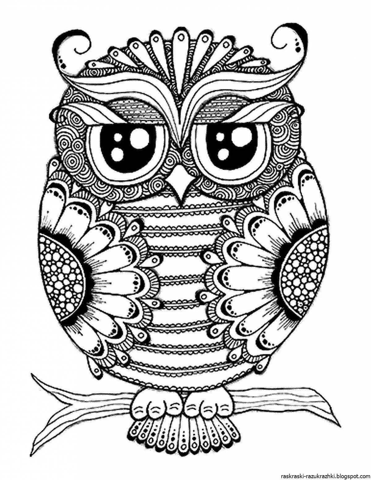 Playful owl coloring book