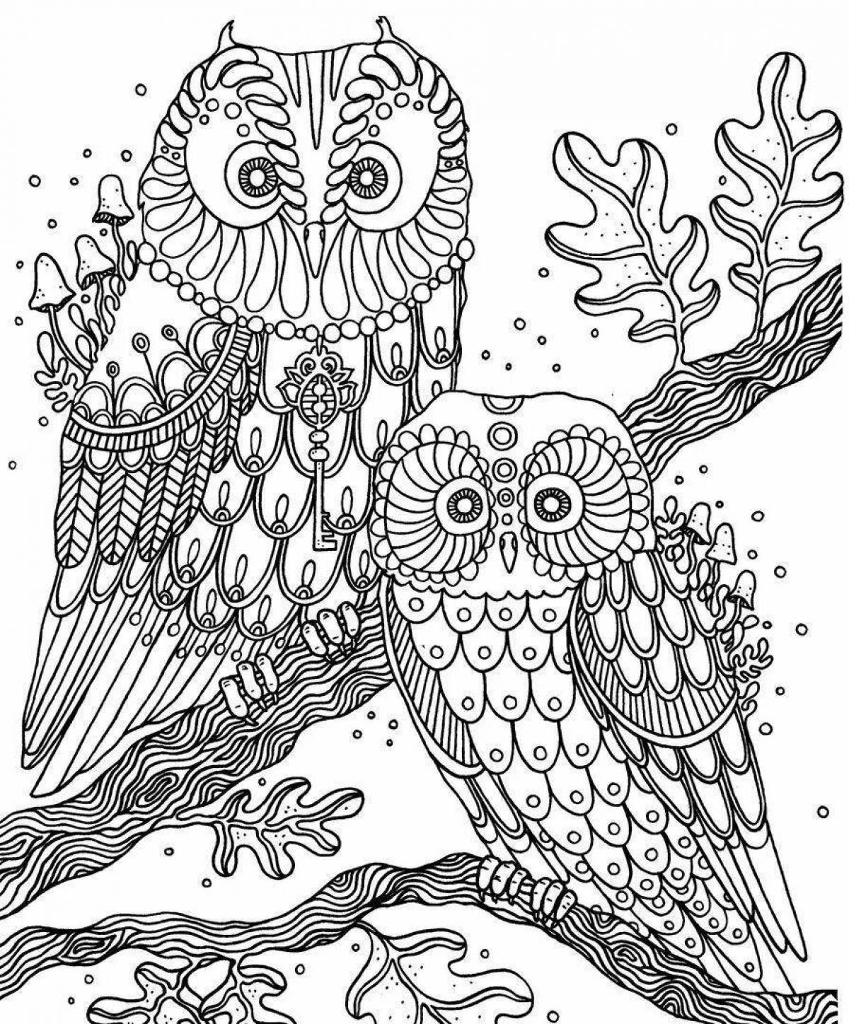 Fun owl coloring pages