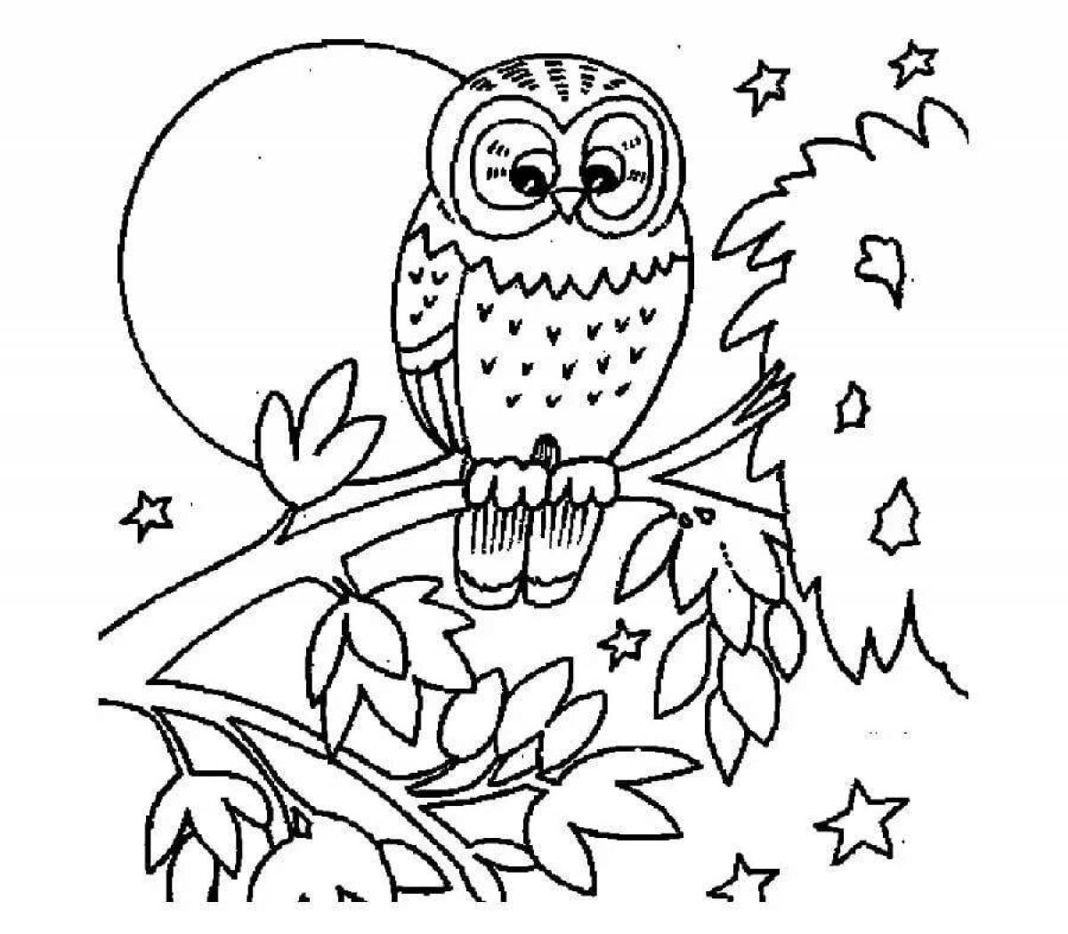 Poetic owl coloring pages