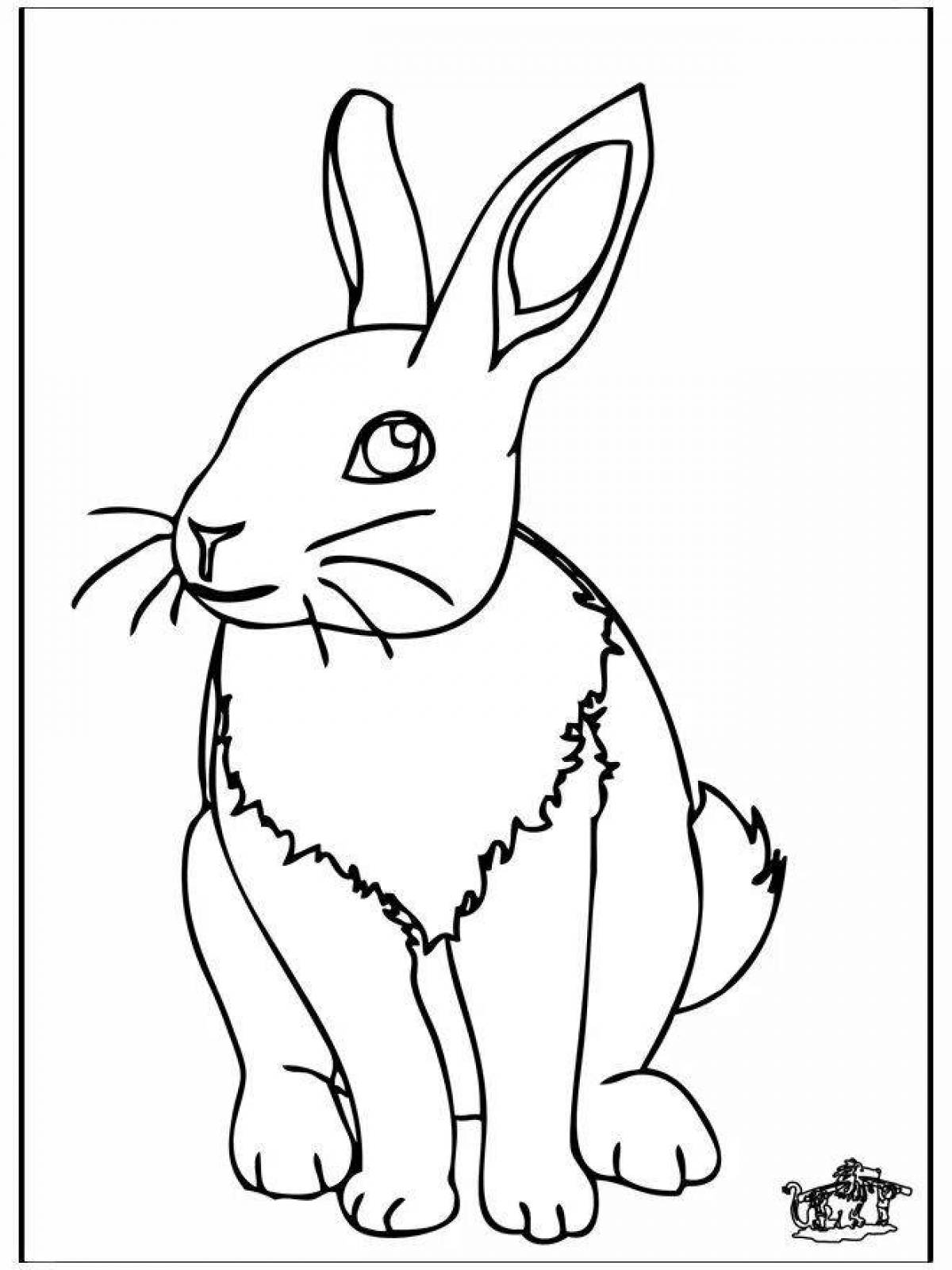 Заяц спереди рисунок