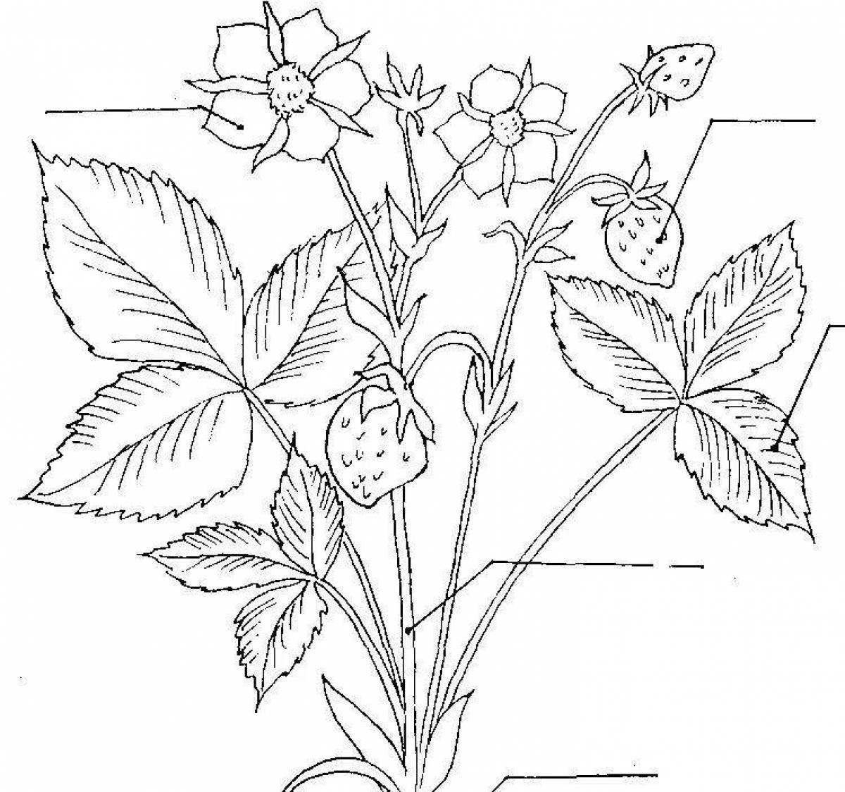 Рисунок на тему растения