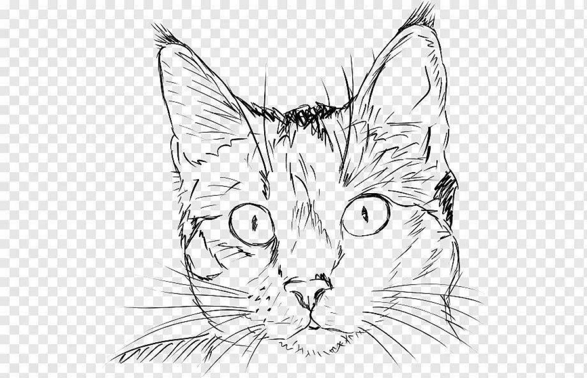 Картинки кошек рисовать. Кошка рисунок. Кошка карандашом. Набросок котика. Кошка рисунок карандашом.
