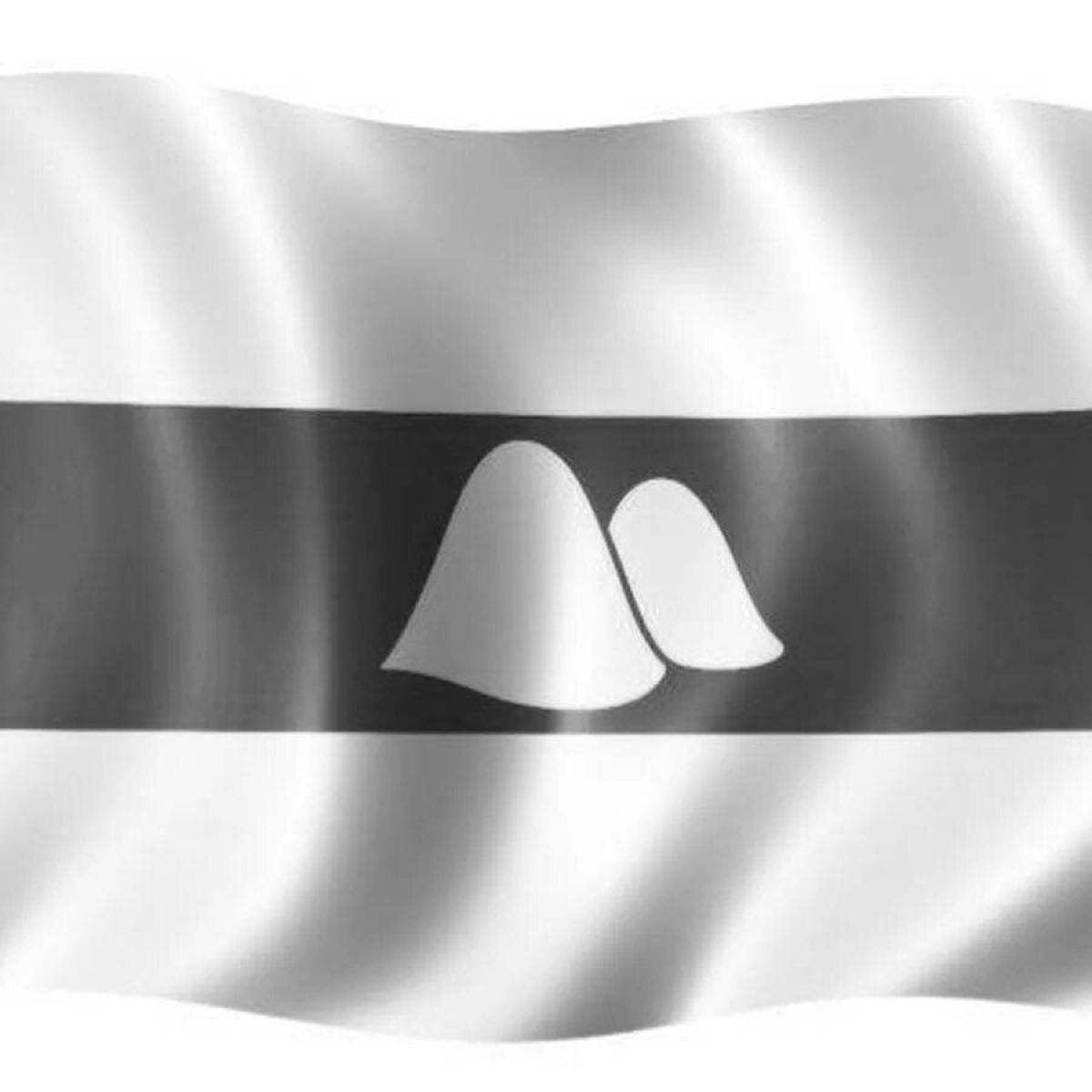 Большой флаг курганской области