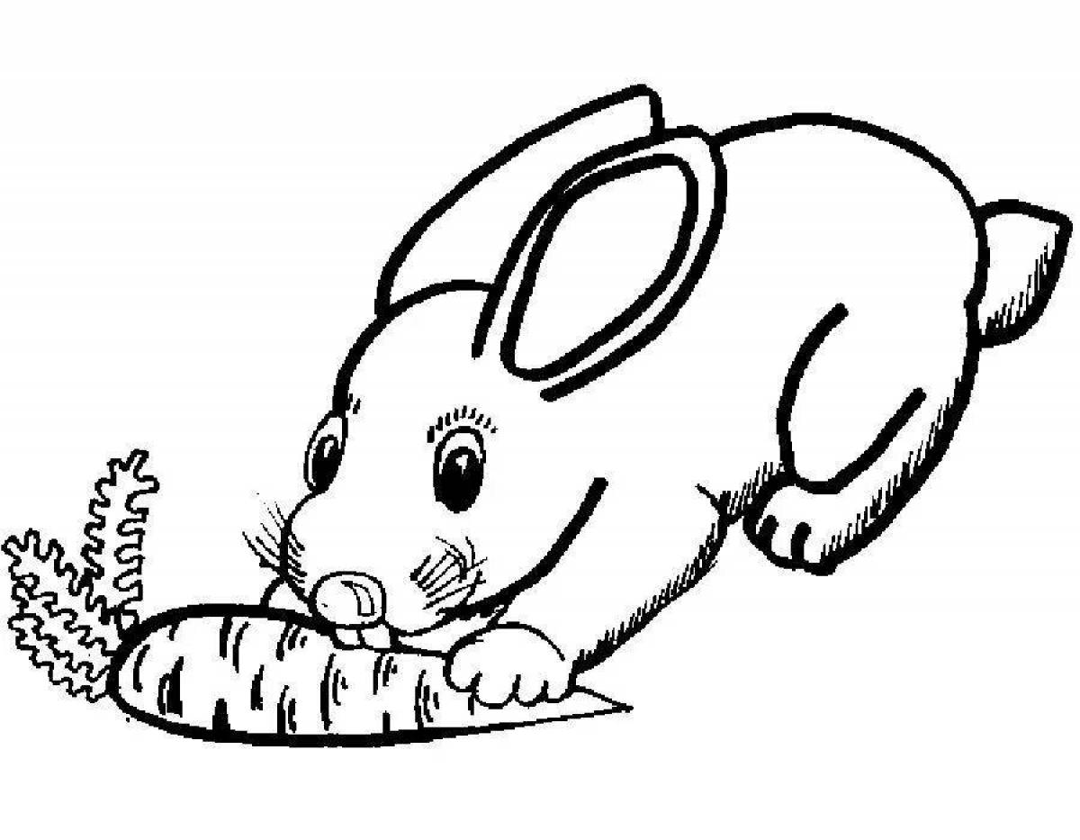Fluffy rabbit coloring book with carrots