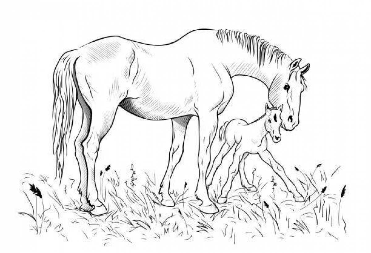 Величественная раскраска лошадь с жеребенком