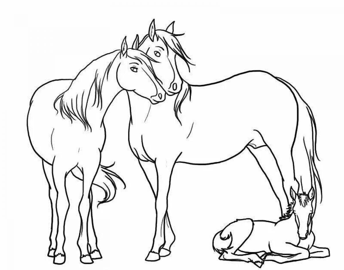 Элегантная раскраска лошадь с жеребенком