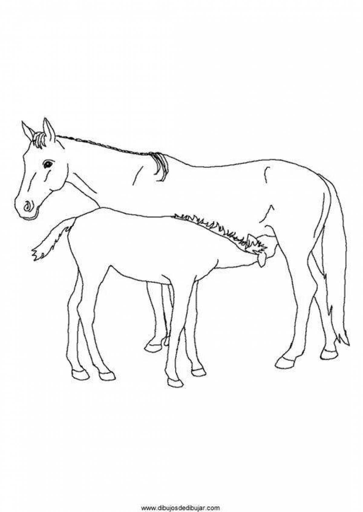 Изысканная раскраска лошадь с жеребенком