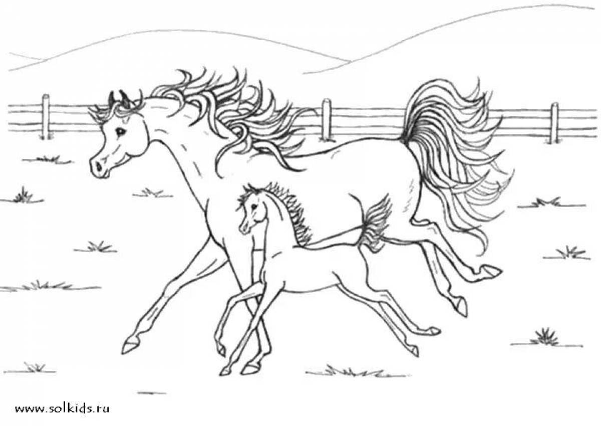 Serene coloring page horse with fog