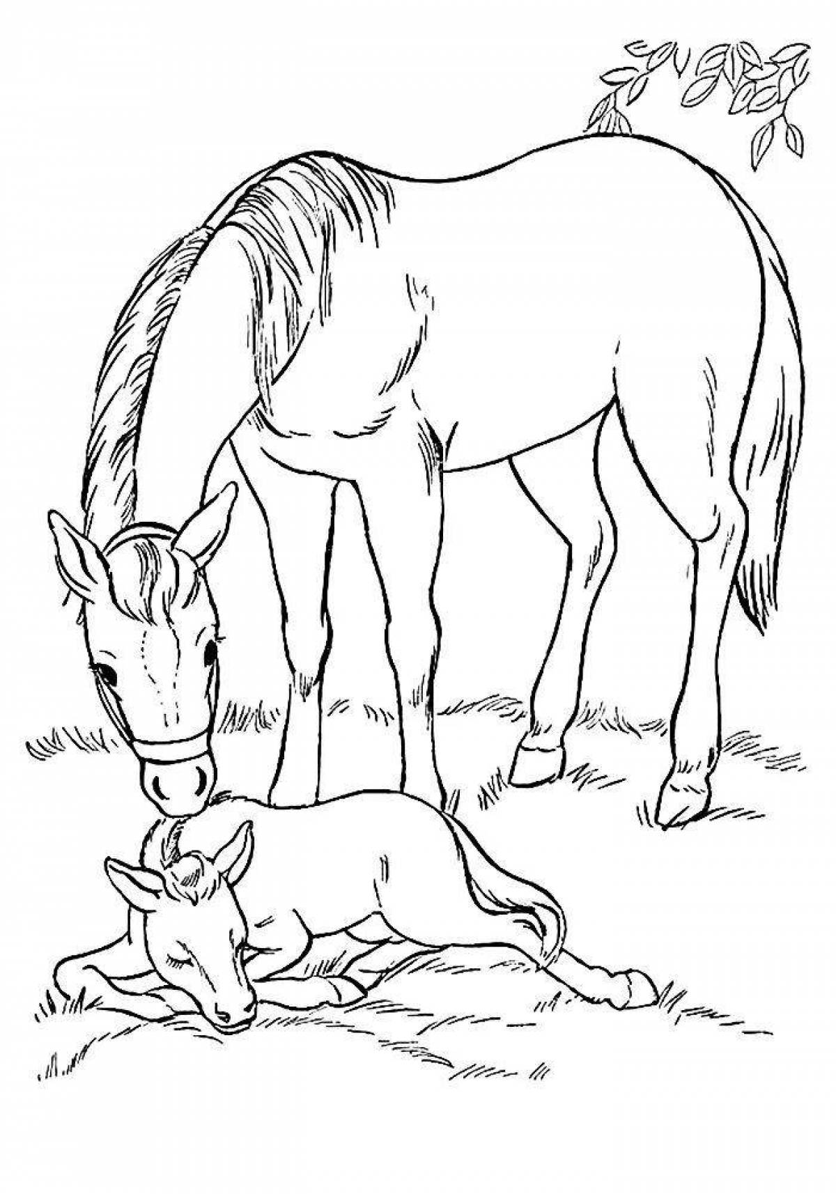 Буйная раскраска лошадь с жеребенком