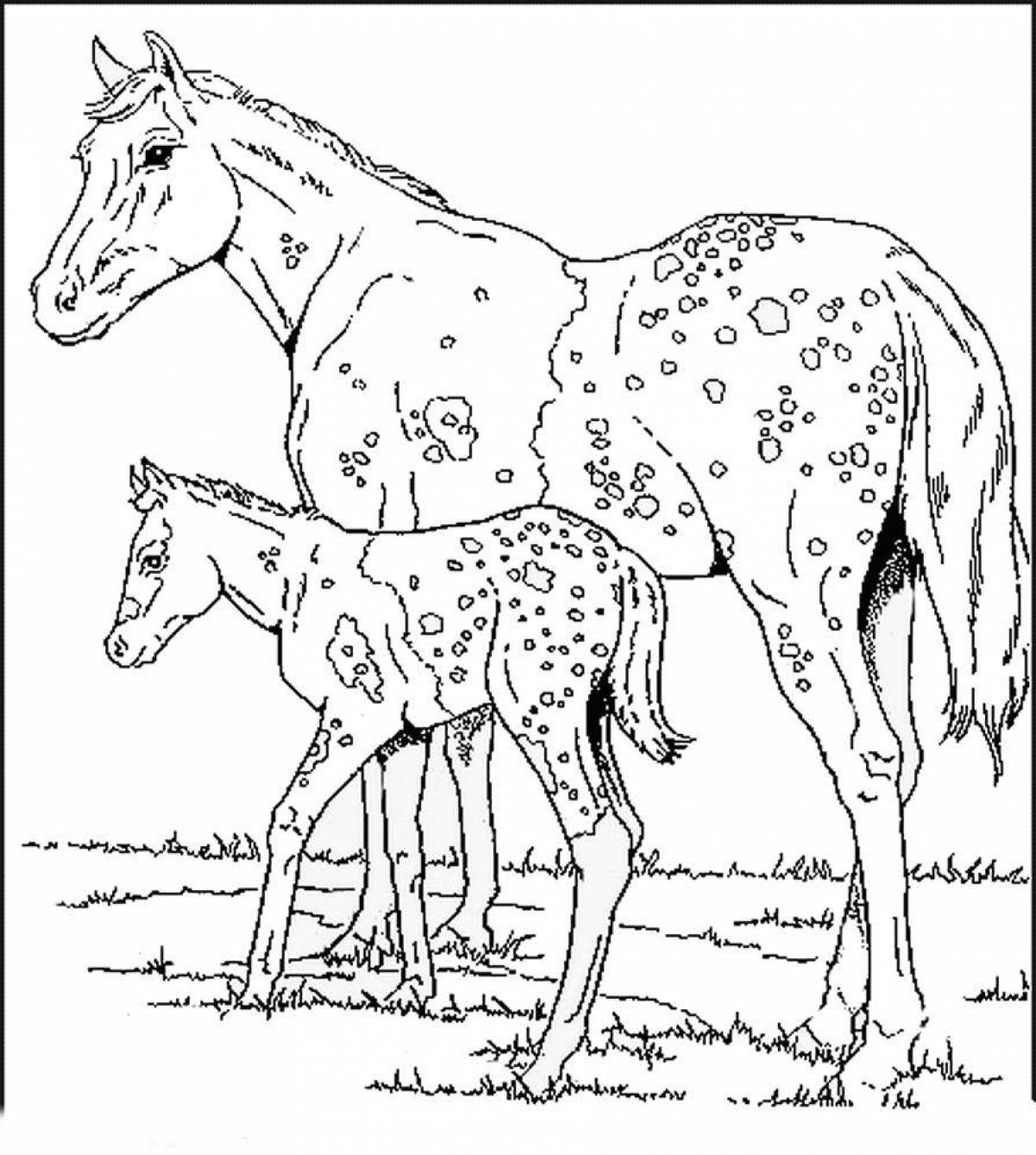 Блаженная раскраска лошадь с жеребенком