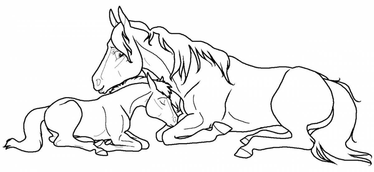 Раскраска exalted лошадь с жеребенком