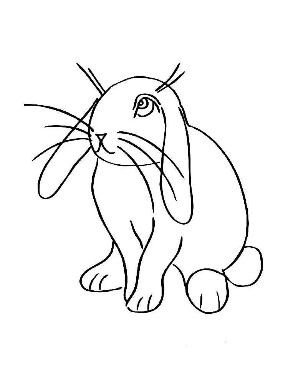 Cute cat and rabbit coloring page