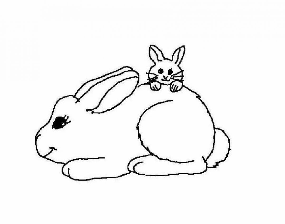 Coloring page funny cat and rabbit