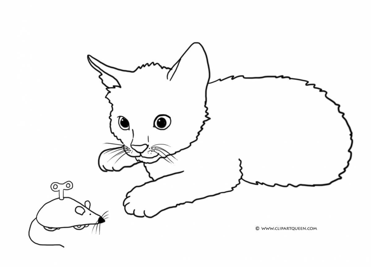 Fancy cat and rabbit coloring book