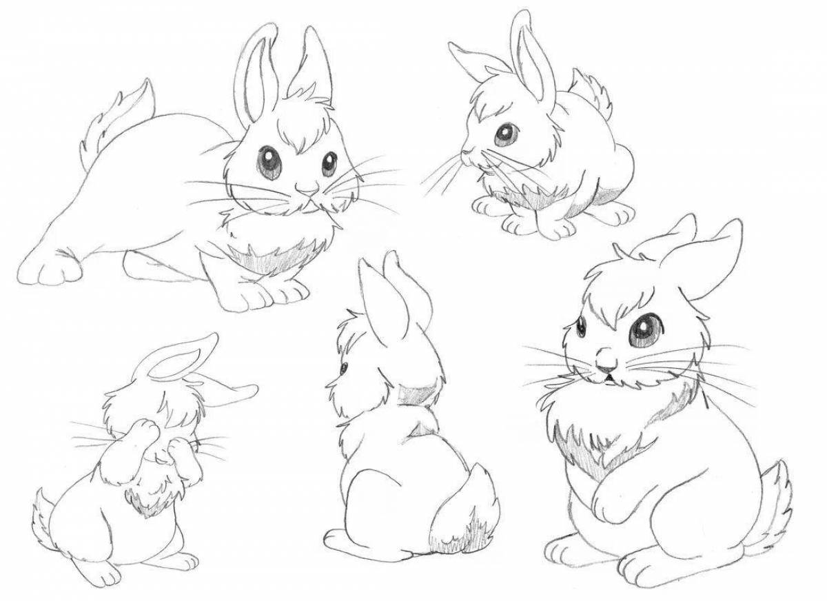 Adorable cat and rabbit coloring page