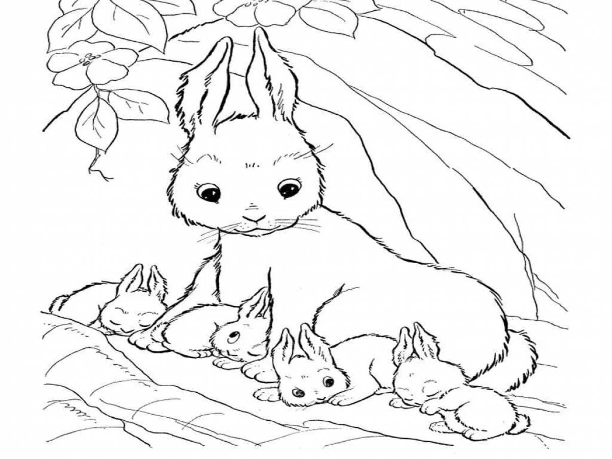 Vibrant cat and rabbit coloring page