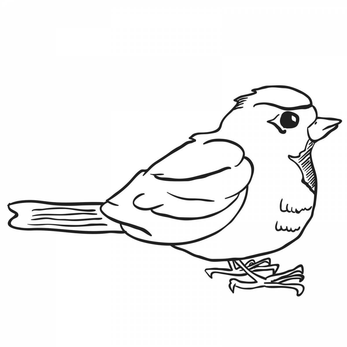 Animated sparrow coloring book