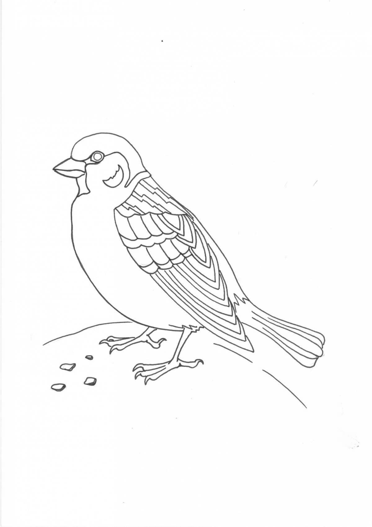 Majestic disheveled sparrow coloring page