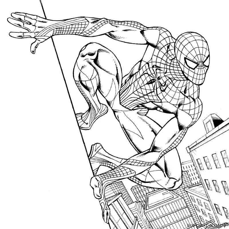 Amazing Spiderman coloring by numbers