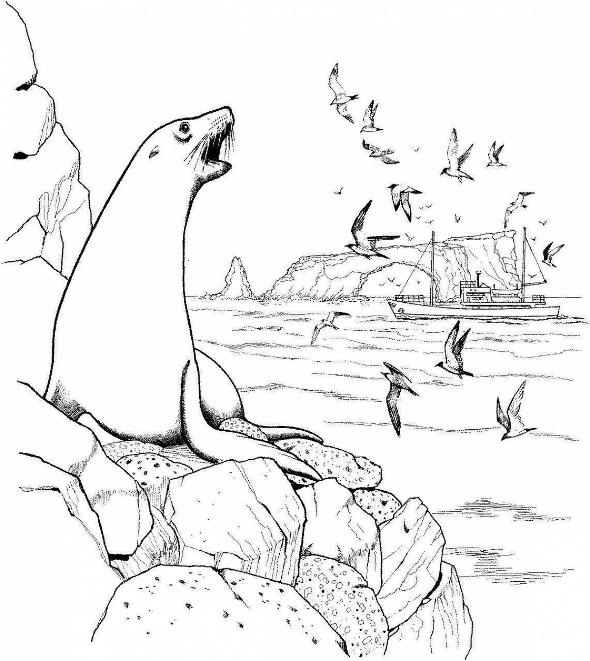 Игривая страница раскраски арктического моржа