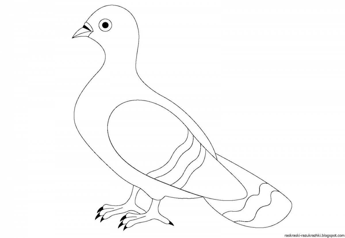 Fun coloring pigeon