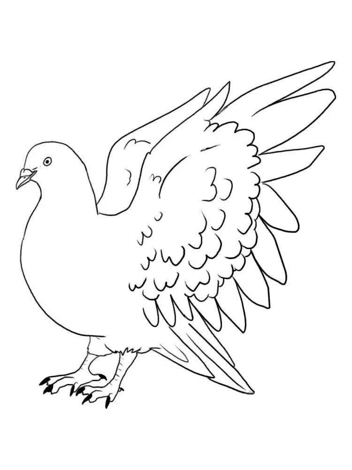 Праздничная раскраска голубь