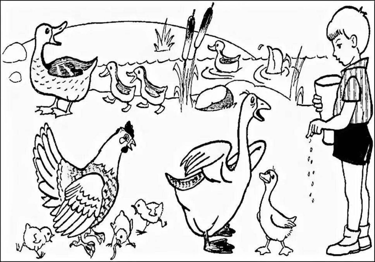 Fancy bird yard coloring page