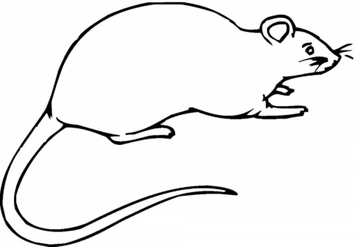 Раскраска игривая крыса лариска