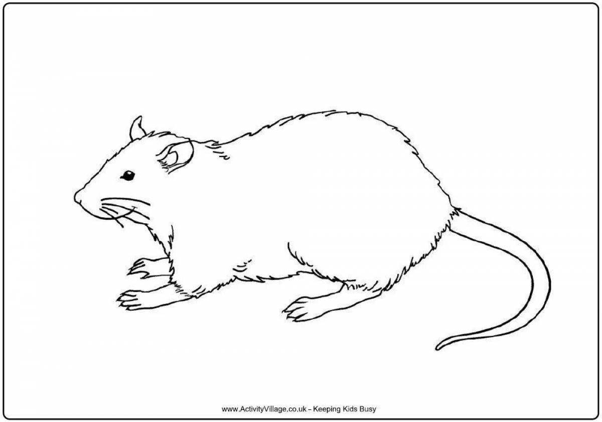Coloring rat Larisa with imagination