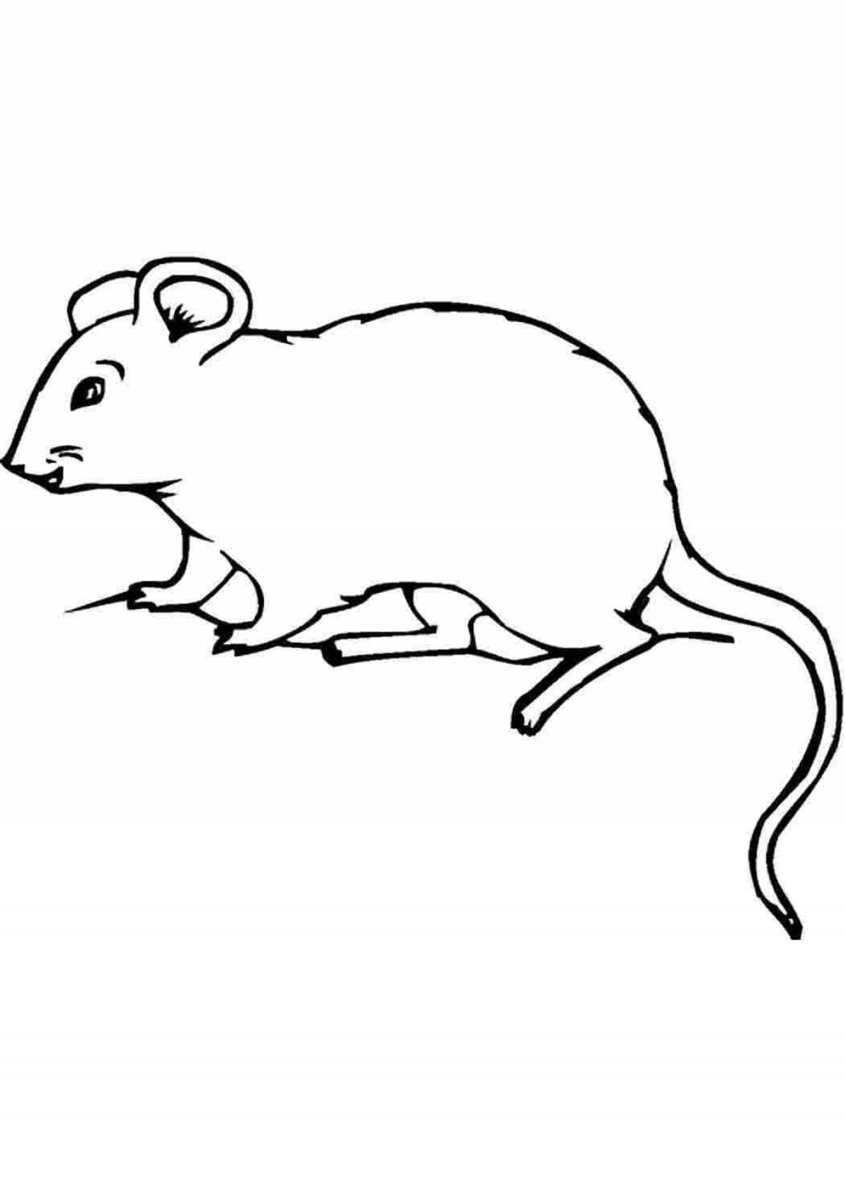 Lariska rat with colored splashes coloring page