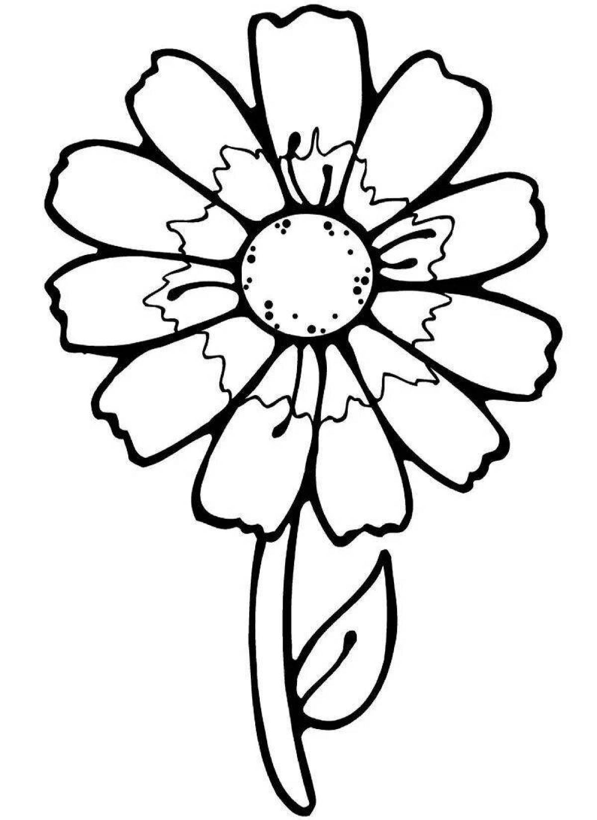 Fun coloring flower drawing