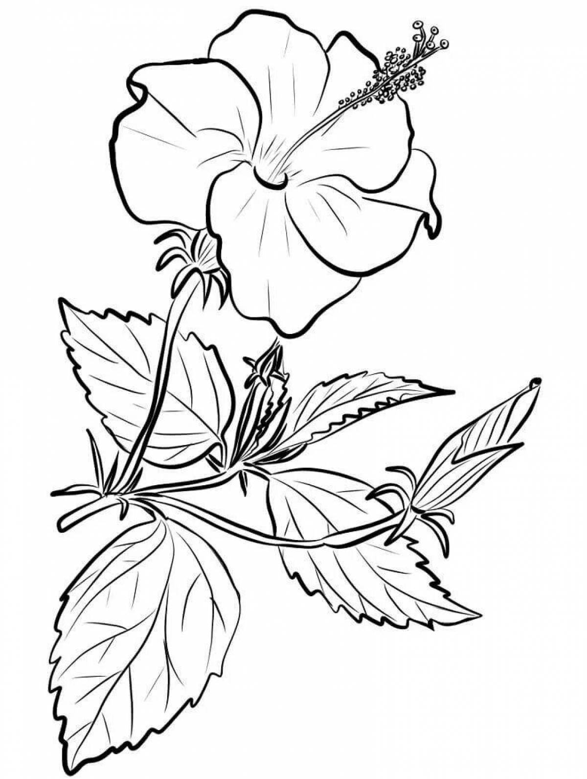 Tempting flower drawing coloring book