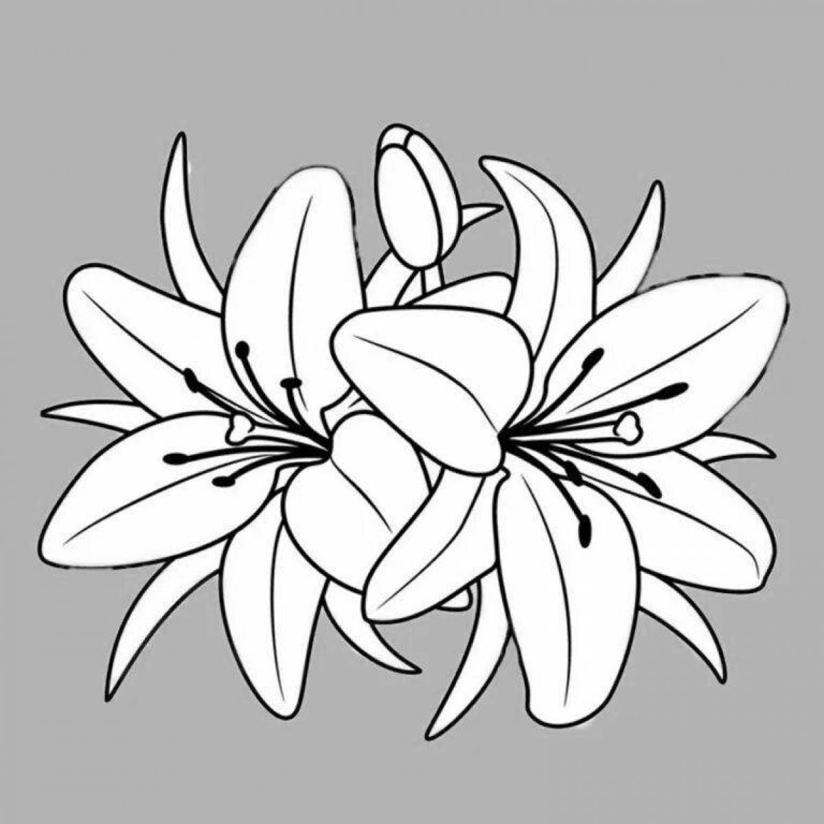 Delicate coloring flower drawing