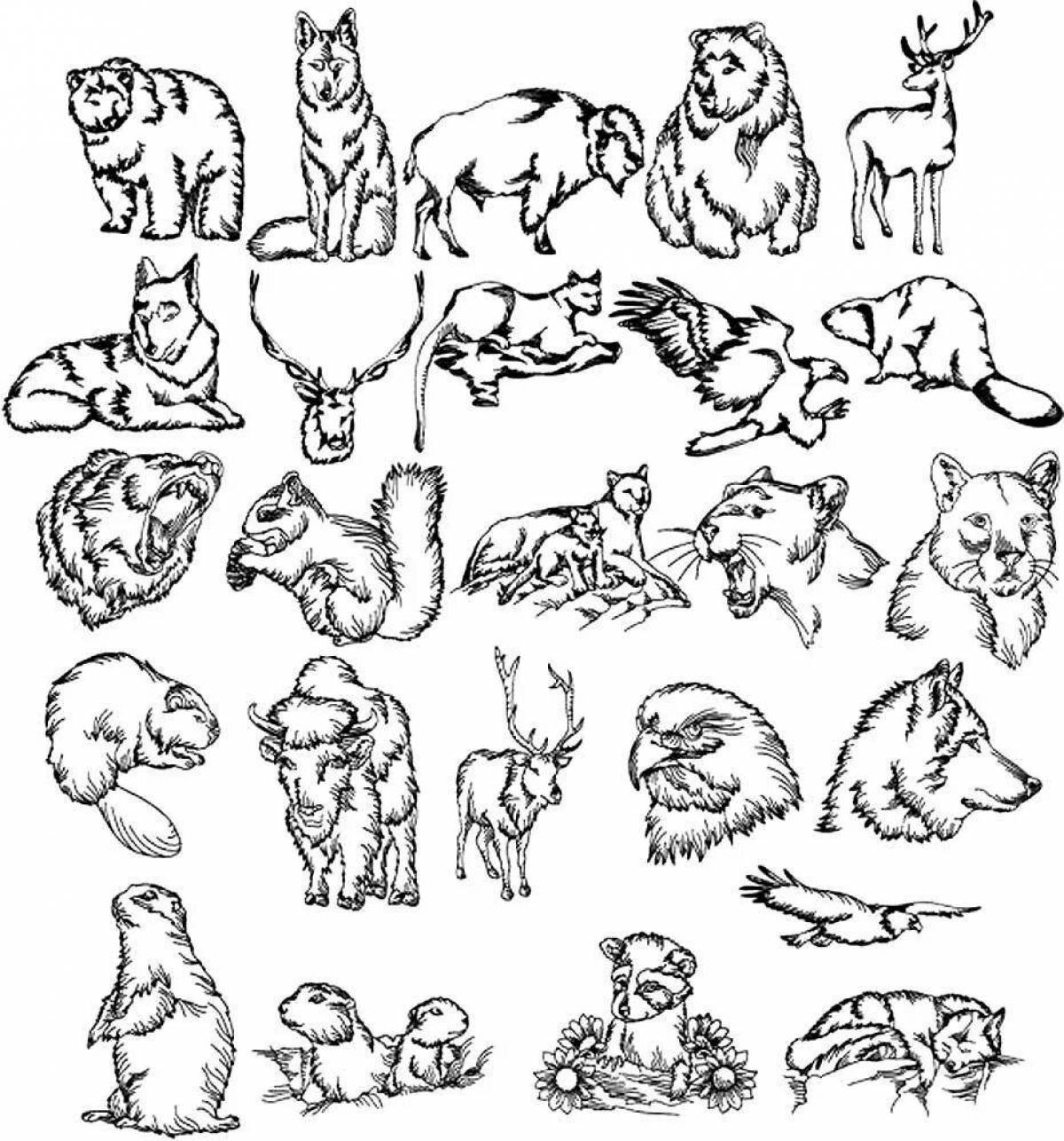 Radiant coloring page много животных