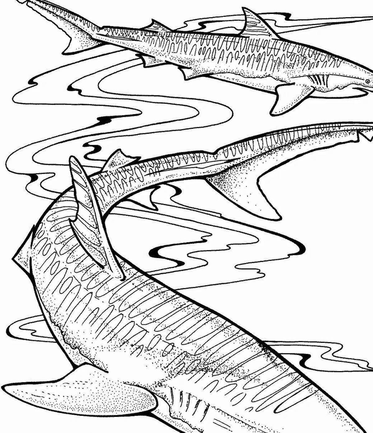 Раскраска древние акулы