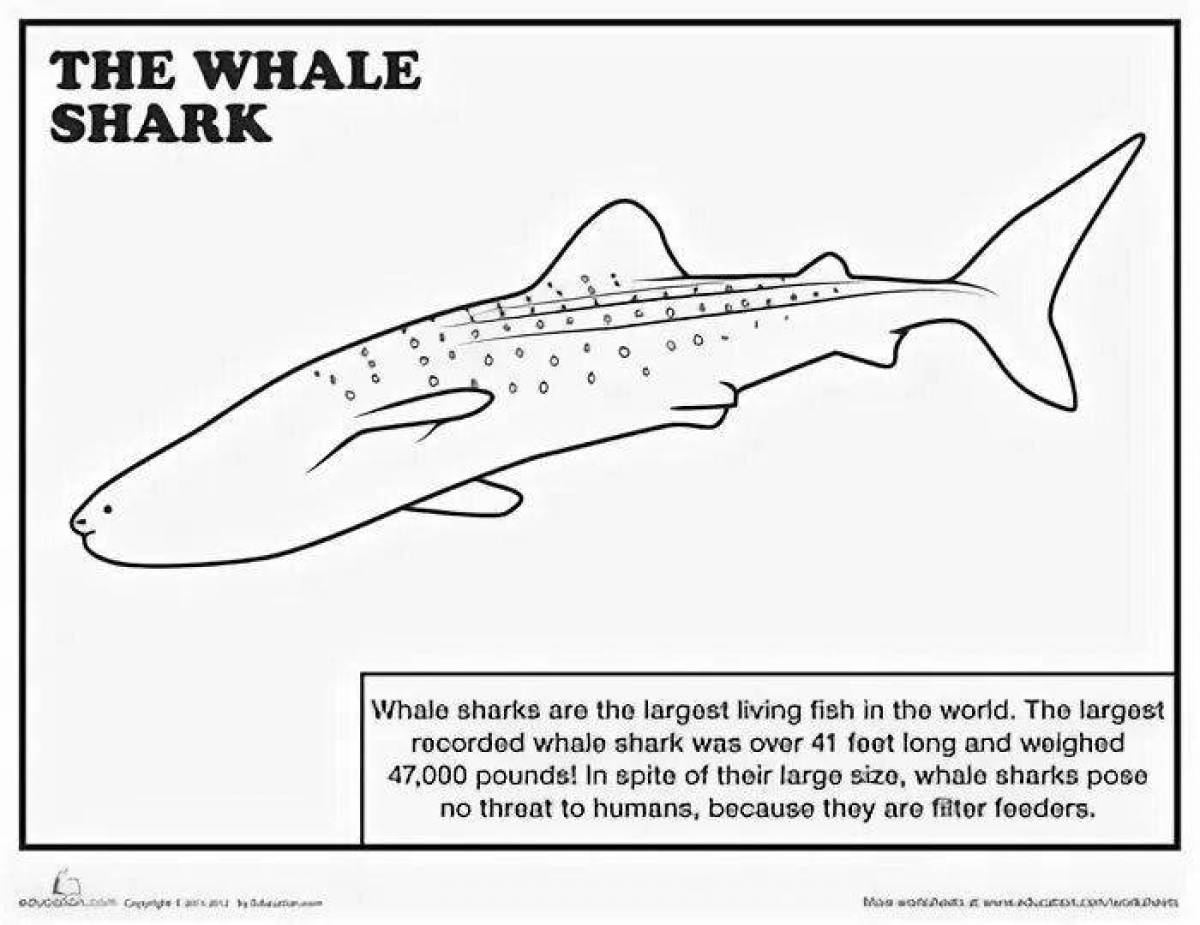Раскраска зебровая акула комикс она ест