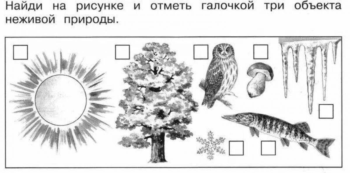 Определите объект по рисунку. Живая и неживая природа задания. Живая и неживая природа задания для детей. Живая и неживая природа задания для дошкольников. Рисунок на тему Живая и неживая природа.