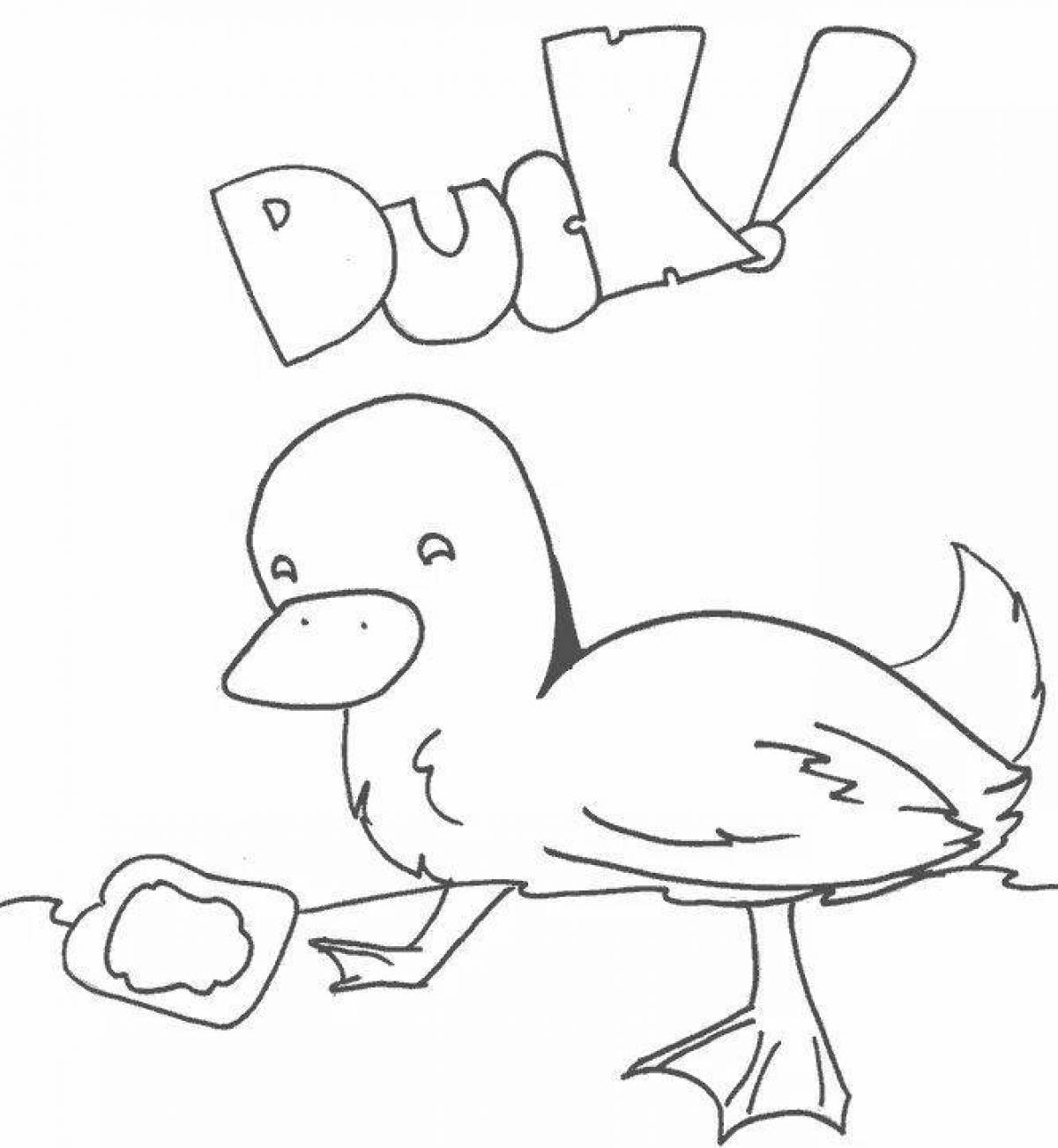 Coloring fun lafan duck