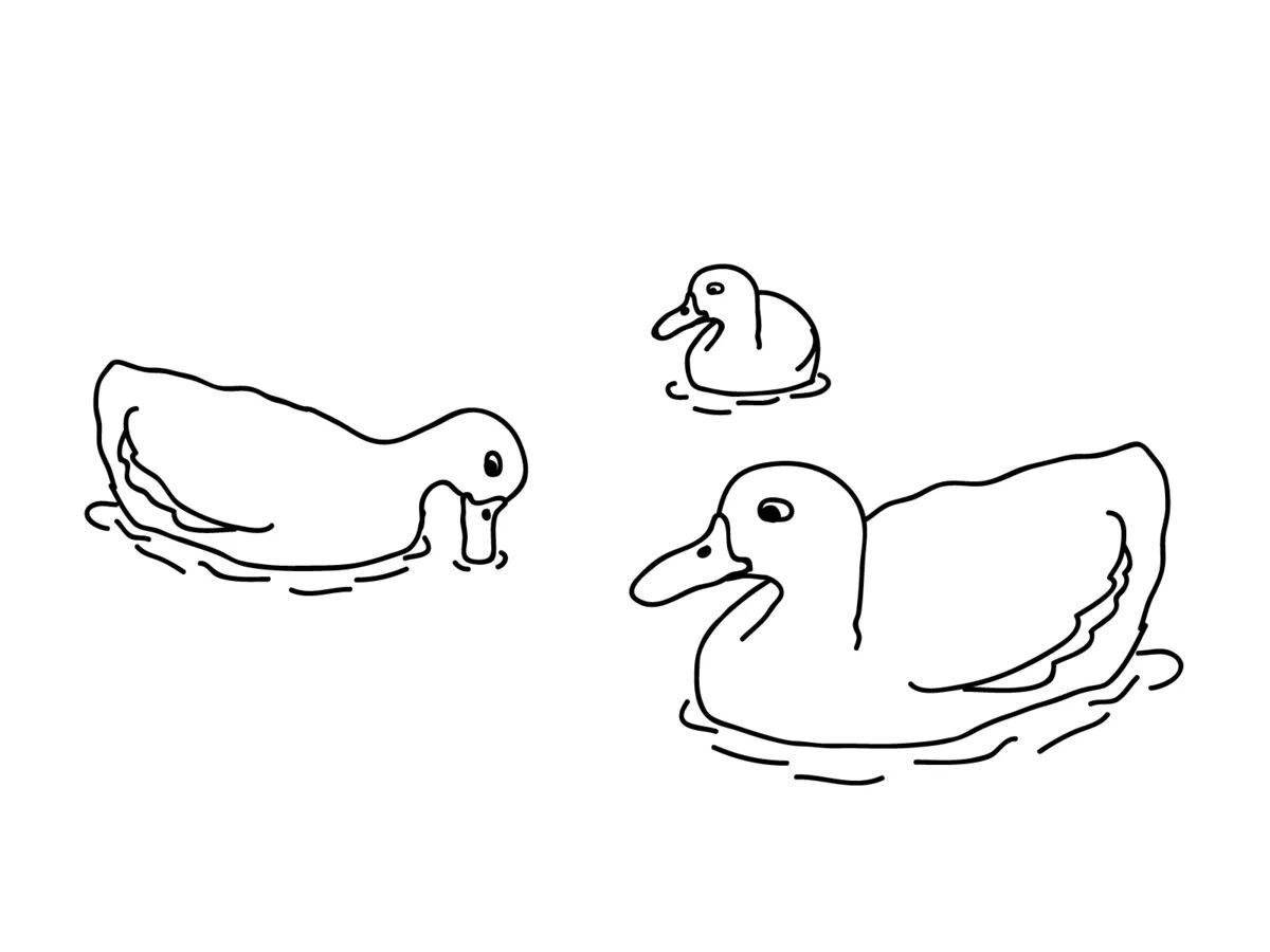 Entertaining coloring lafan duck