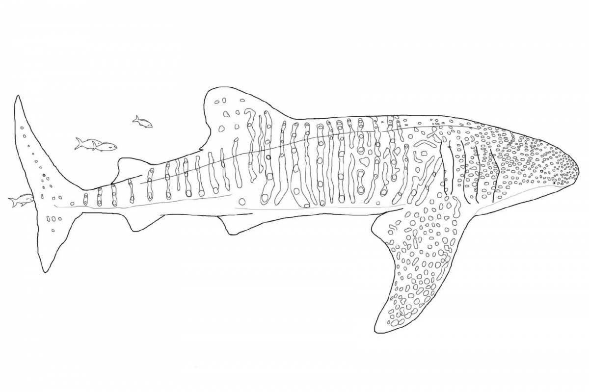 Great whale shark coloring book