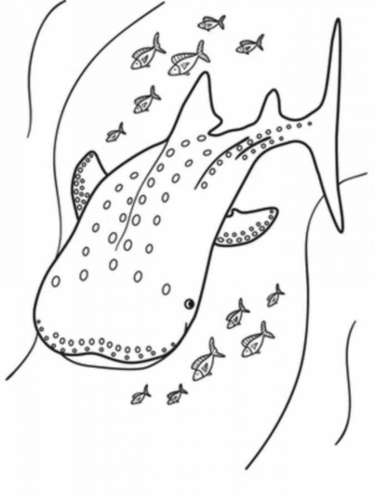Whale shark beautiful coloring book