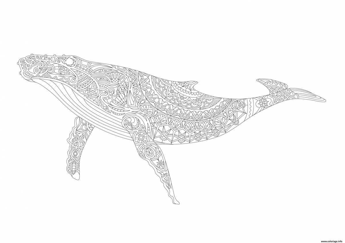 Роскошная раскраска китовая акула